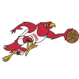 Atlanta Hawks