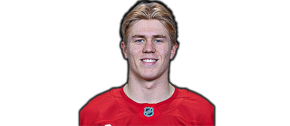 Michael Brandsegg-Nygård