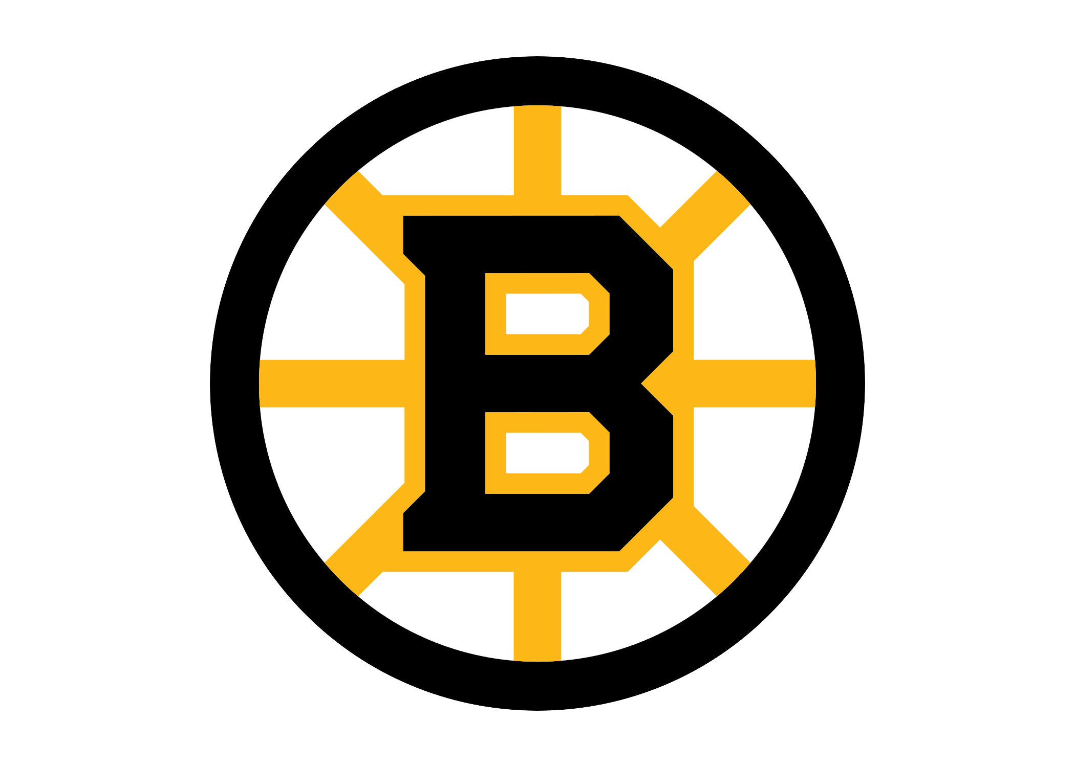 Boston Bruins