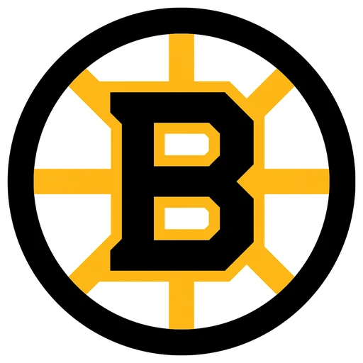 Boston Bruins