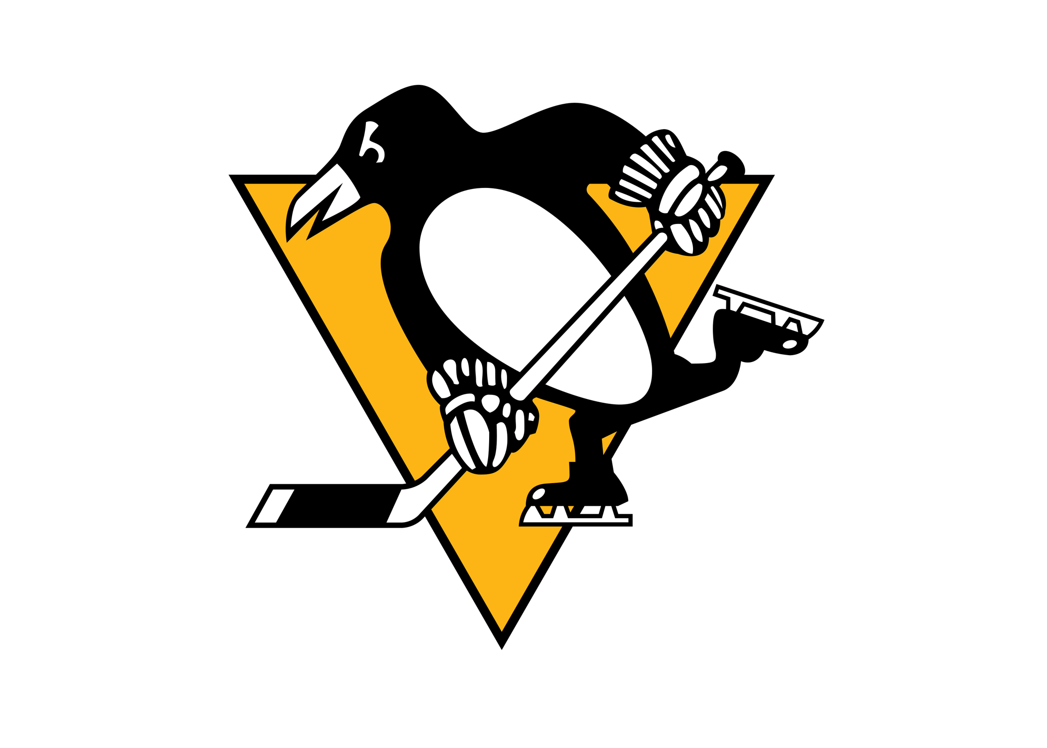 Pittsburgh Penguins