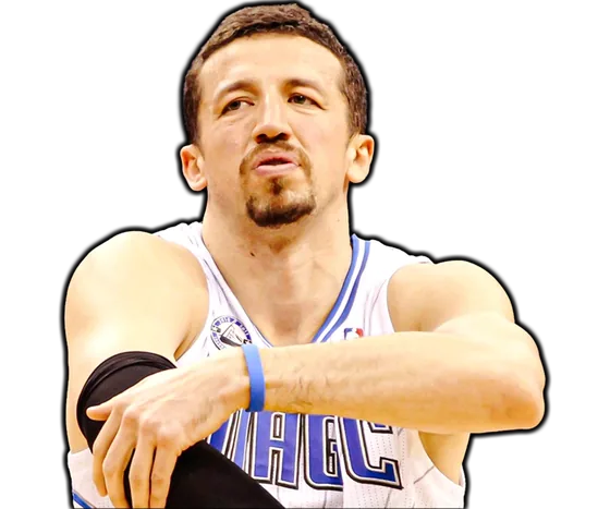 Hedo Turkoglu